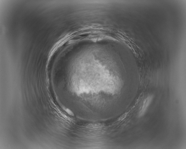 X0000052570245200507081709