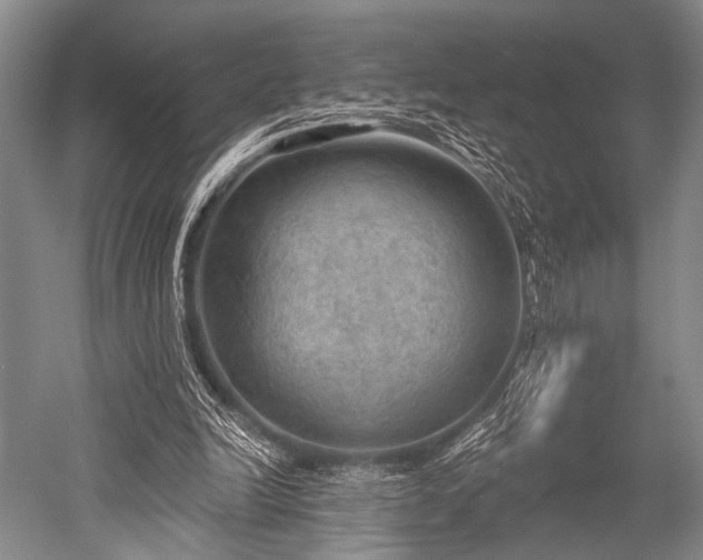 X0000052570246200507081709