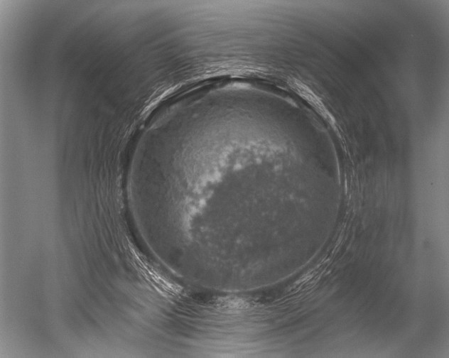 X0000052570249200507081709