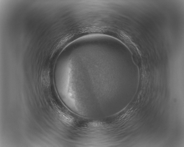 X0000052570250200507081709