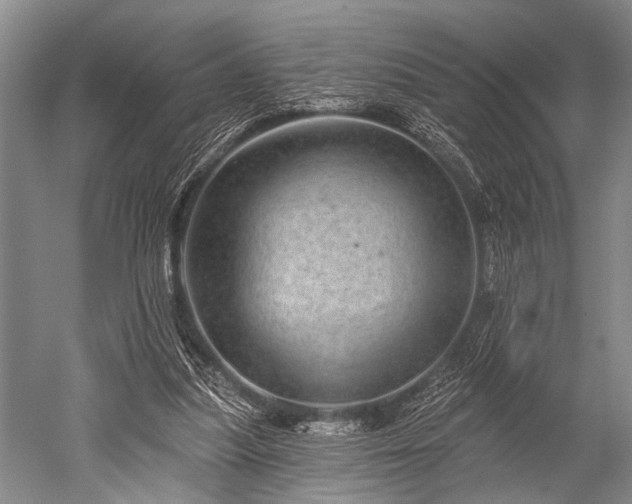 X0000052570251200507081709