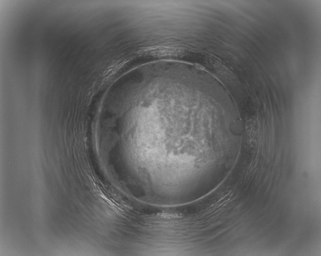 X0000052570255200507081709