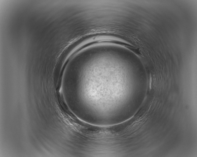 X0000052570256200507081709