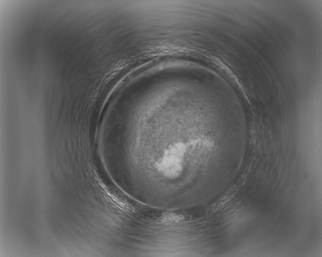 X0000052570257200507081709