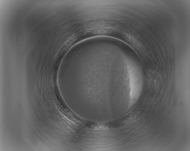 X0000052570258200507081709