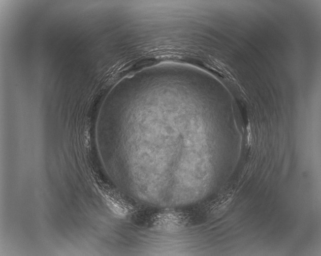 X0000052570259200507081709