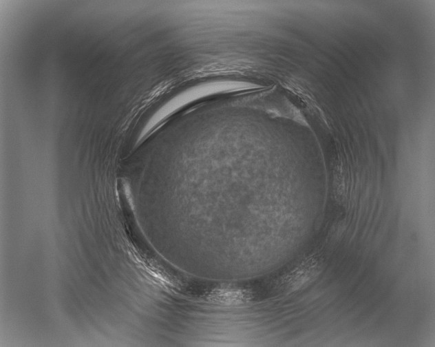 X0000052570260200507081709