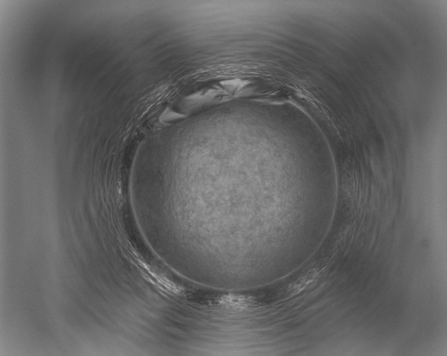 X0000052570261200507081709