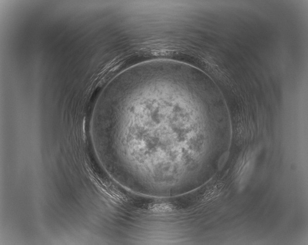 X0000052570262200507081709