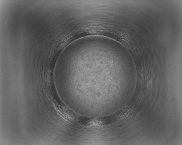 X0000052570263200507081709