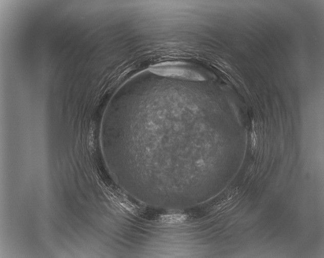 X0000052570266200507081709