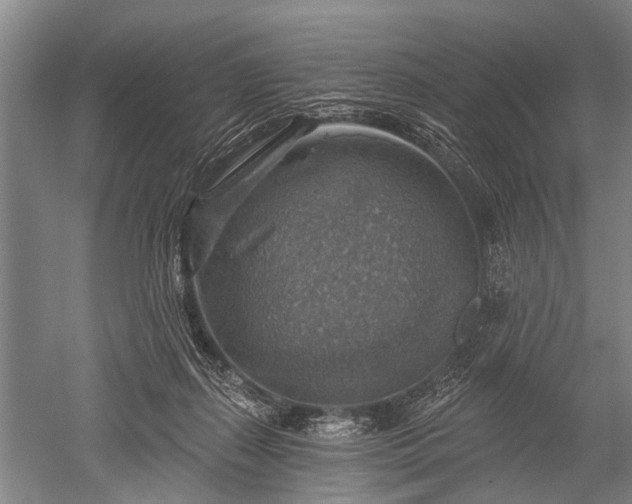 X0000052570267200507081709