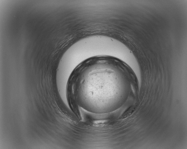 X0000052570268200507081709