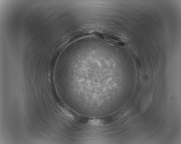 X0000052570269200507081709