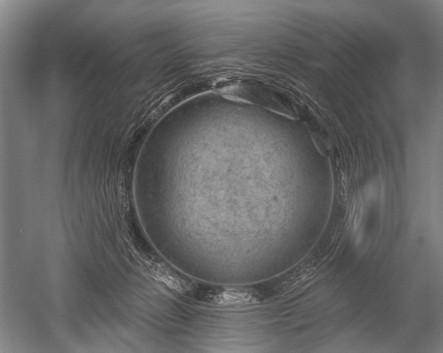 X0000052570270200507081709