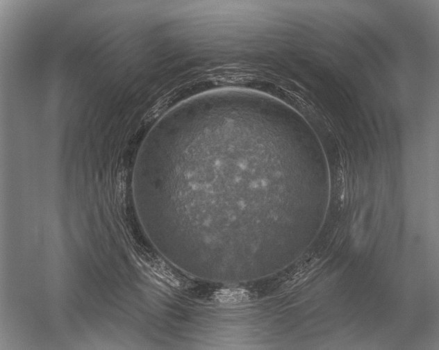 X0000052570271200507081709