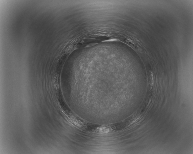 X0000052570272200507081709