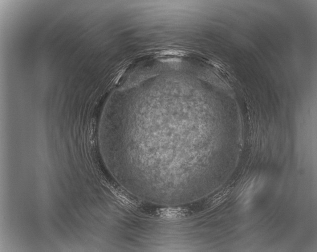 X0000052570273200507081709