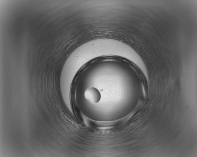 X0000052570276200507081709