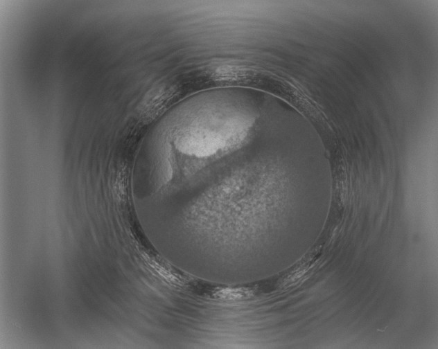 X0000052570277200507081709