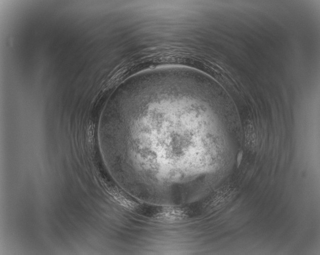 X0000052570278200507081709