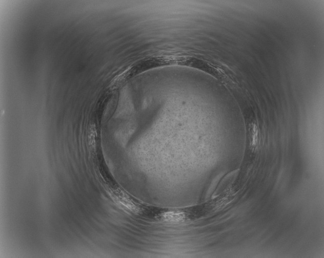 X0000052570279200507081709