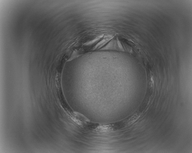 X0000052570280200507081710