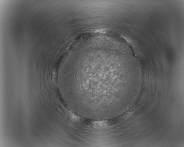 X0000052570281200507081710