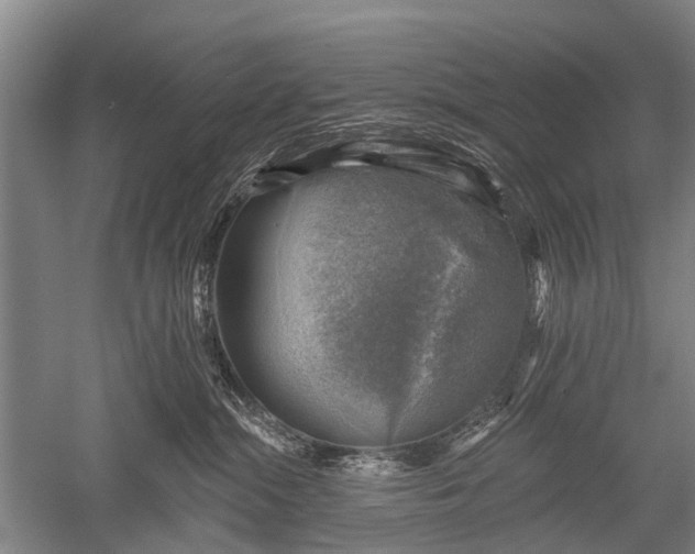 X0000052570284200507081710