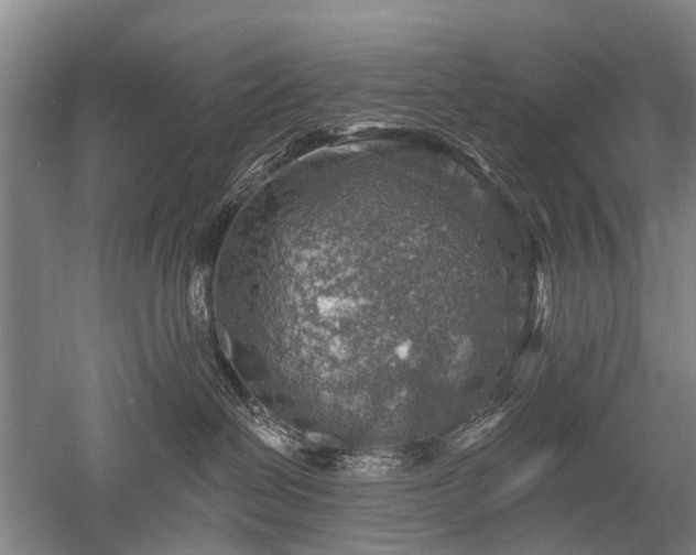 X0000052570286200507081710