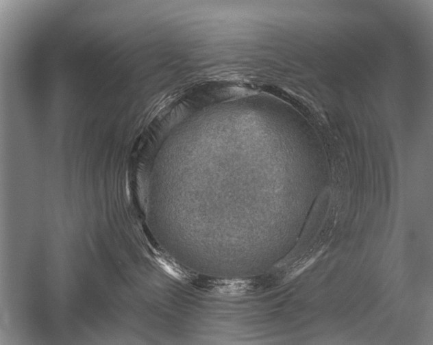 X0000052570288200507081710