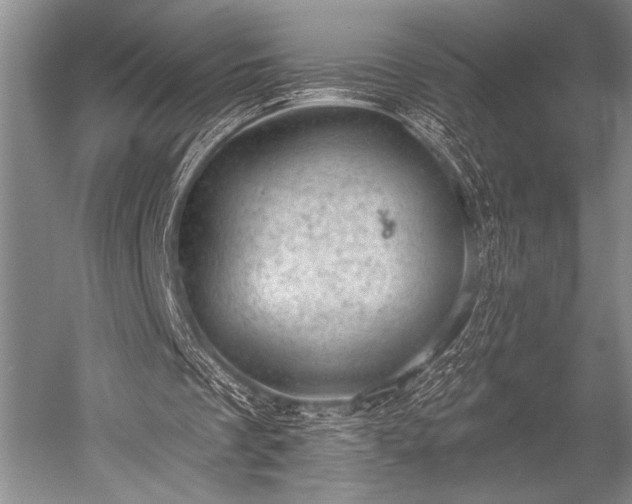 X0000052570289200507081709