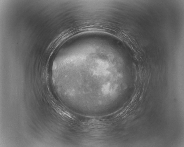 X0000052570290200507081709