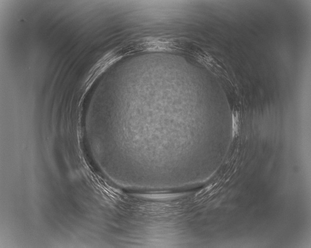 X0000052570291200507081709