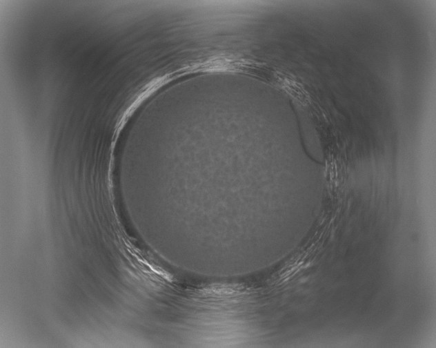 X0000052570292200507081709