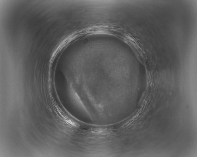 X0000052570293200507081709