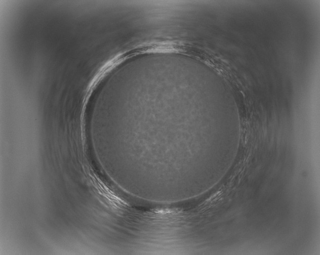 X0000052570296200507081709