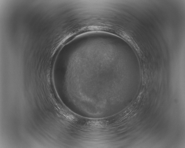 X0000052570297200507081709