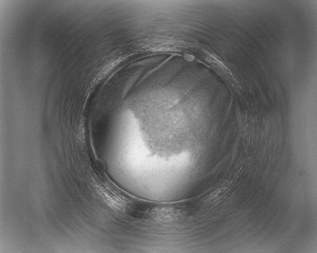 X0000052570298200507081709