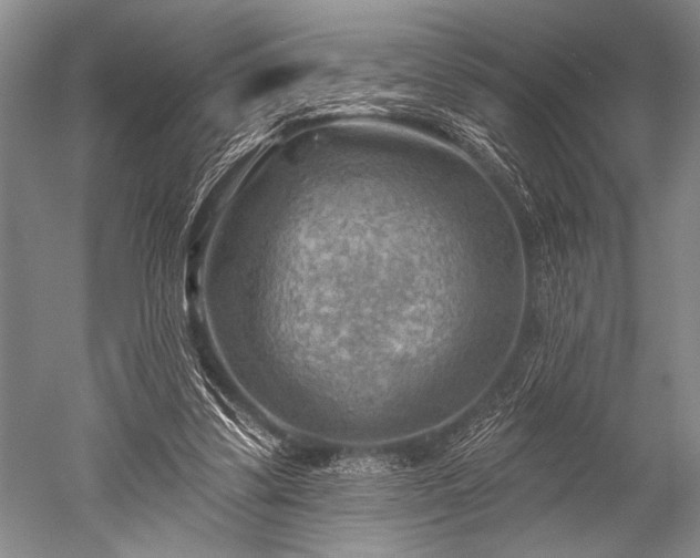 X0000052570299200507081709