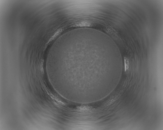 X0000052570300200507081709