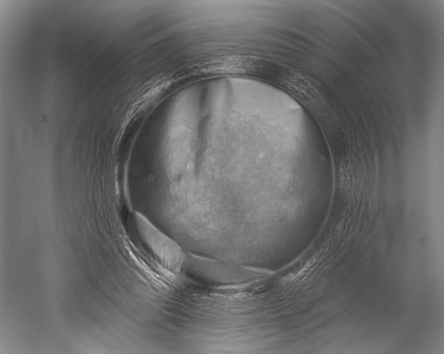 X0000052570302200507081709