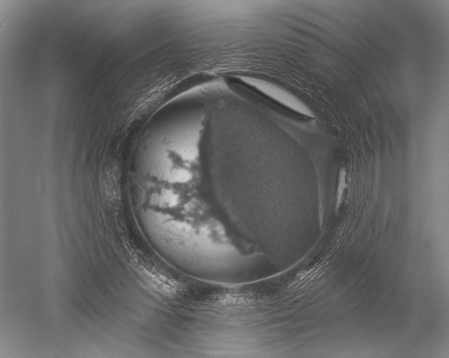 X0000052570303200507081709