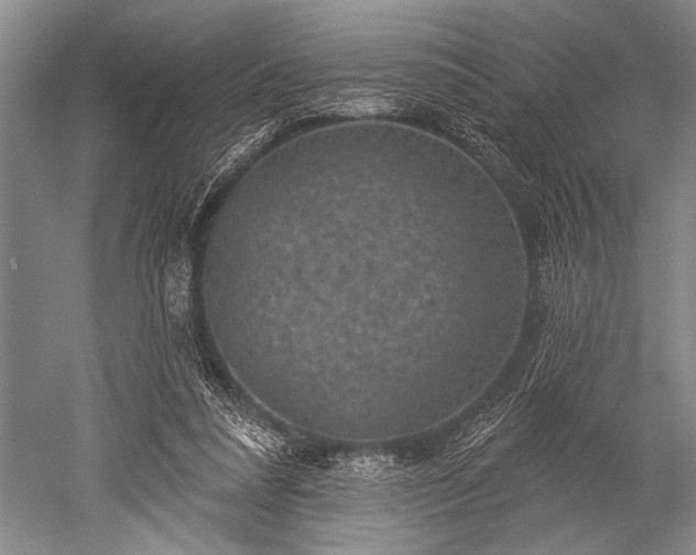 X0000052570304200507081709