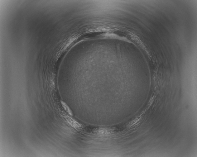 X0000052570305200507081709