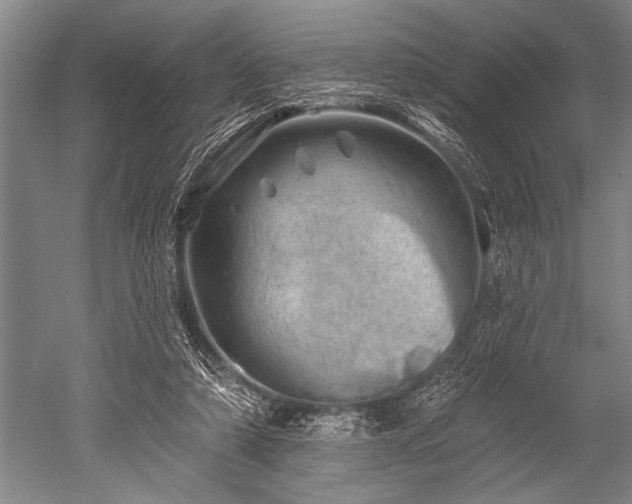 X0000052570306200507081709