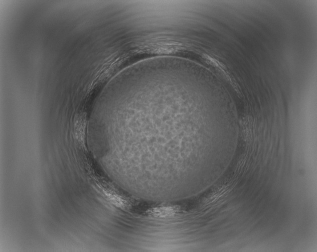 X0000052570307200507081709