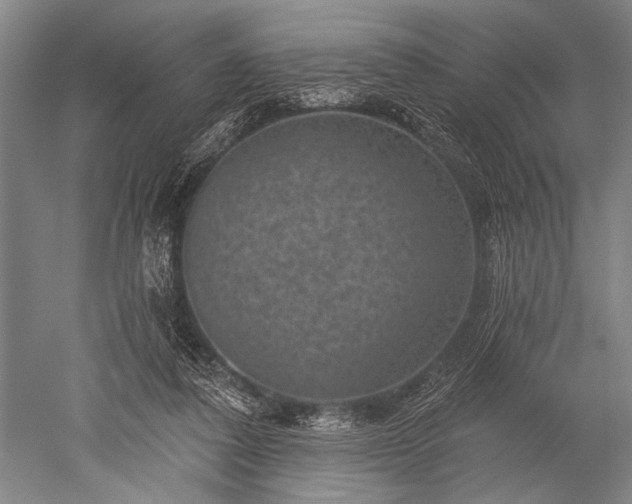 X0000052570308200507081709