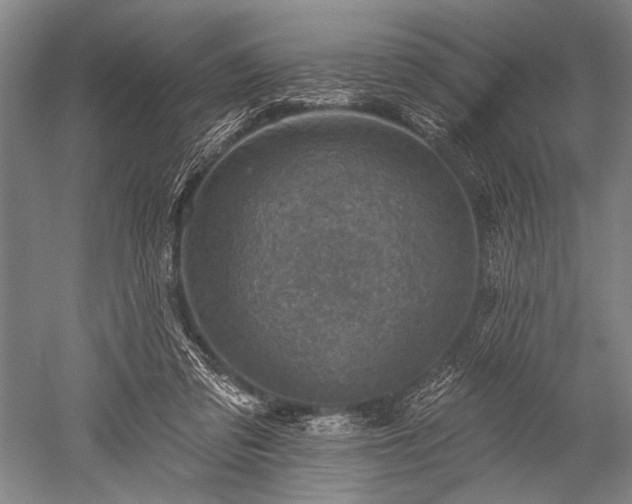 X0000052570309200507081708