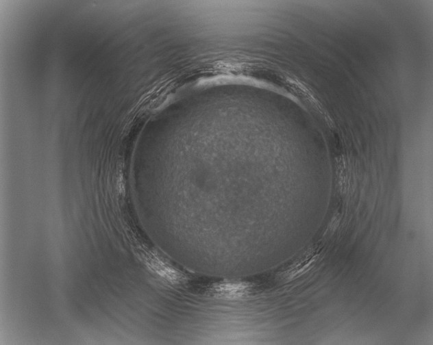 X0000052570313200507081708